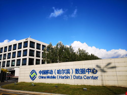國內運營商最大單集群智算中心在哈爾濱建成投產
